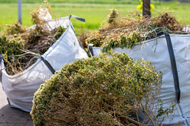 Reliable Orlovista, FL Junk Removal Services Solutions